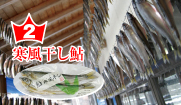 鮎の寒風干し